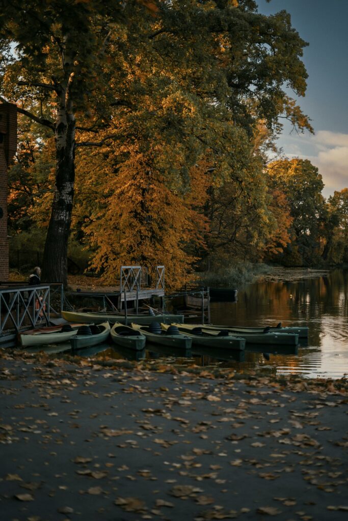 Fall Kayaking adn paddle boarding