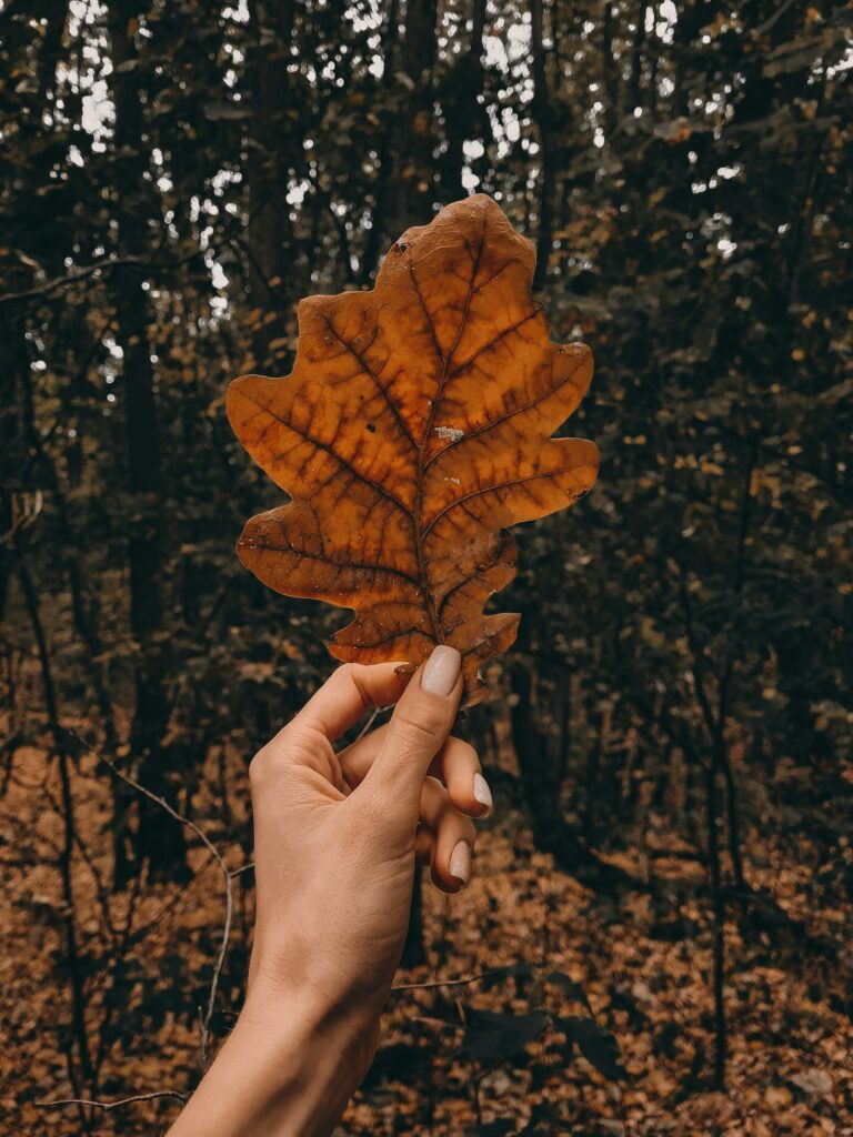 fall nail ideas